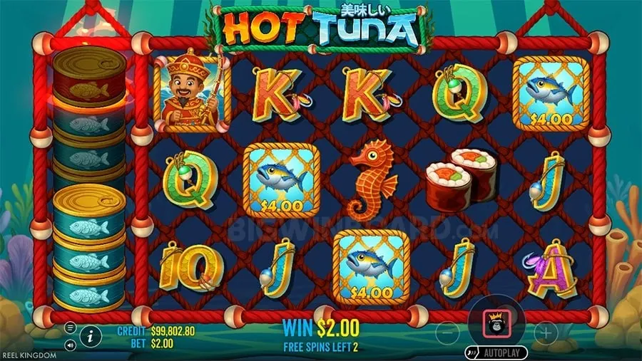 Cashback Offers